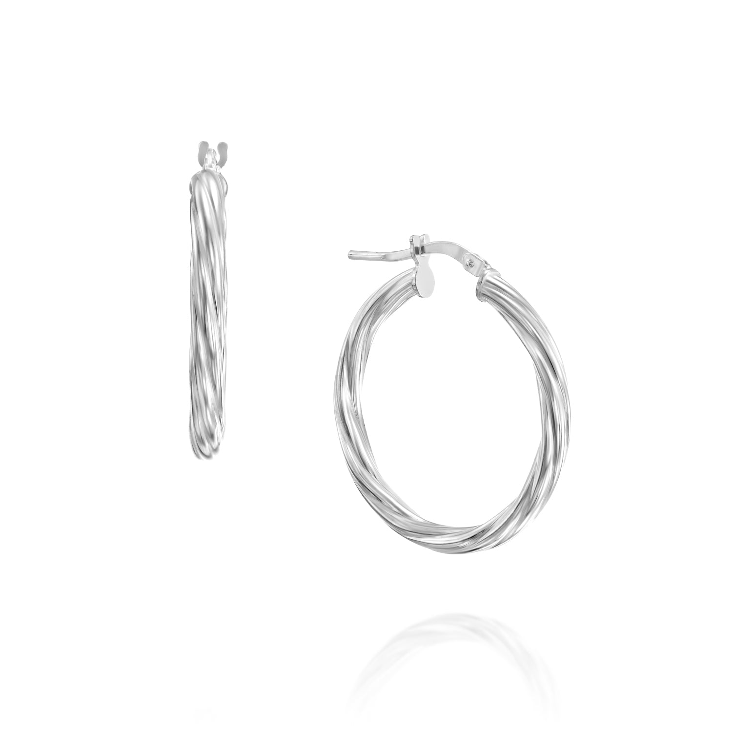 Dianara Silver Earrings (L)