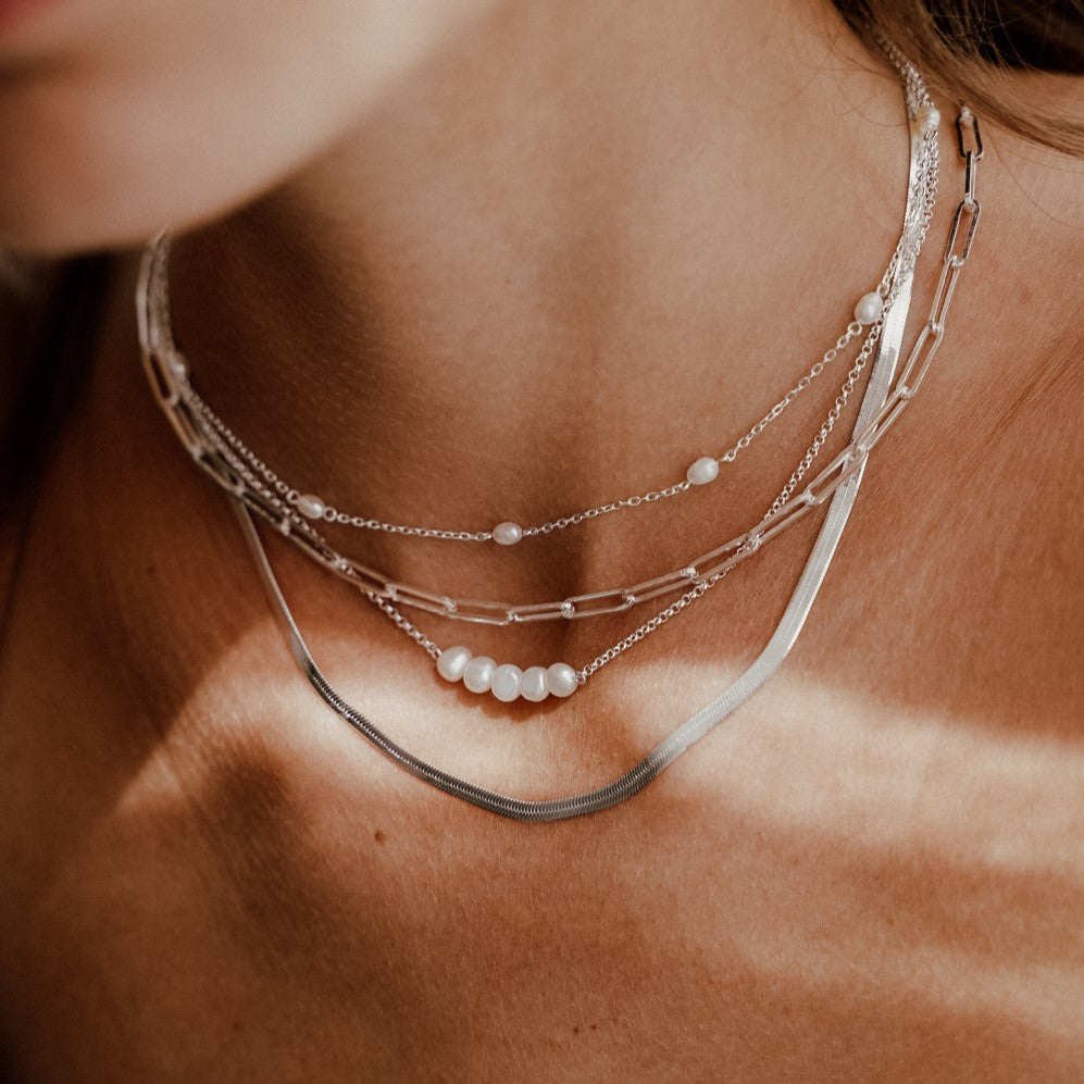 Dani Silver Necklace